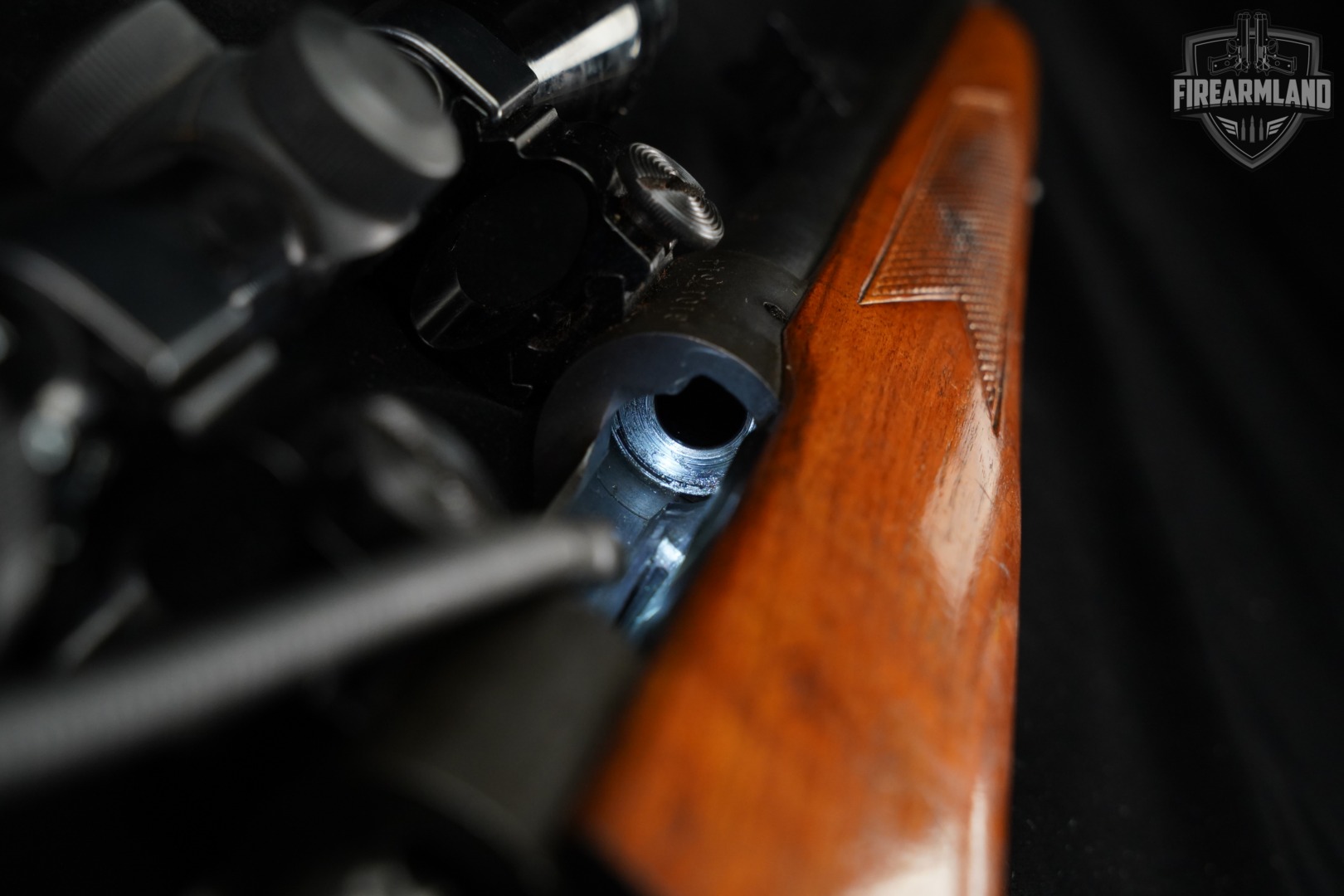 Winchester Model 770 270 Win 22" Blued & Hardwood M770 +BUSHNELL SCOPE-img-20