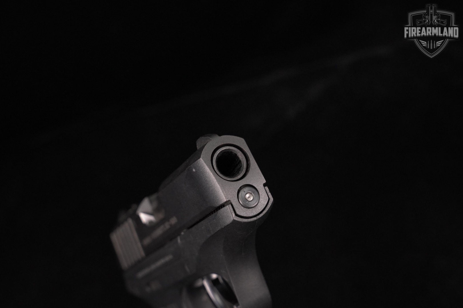 Ruger EC9s 9mm 3.12" EC9-S EC-9 +2 MAGS-img-9