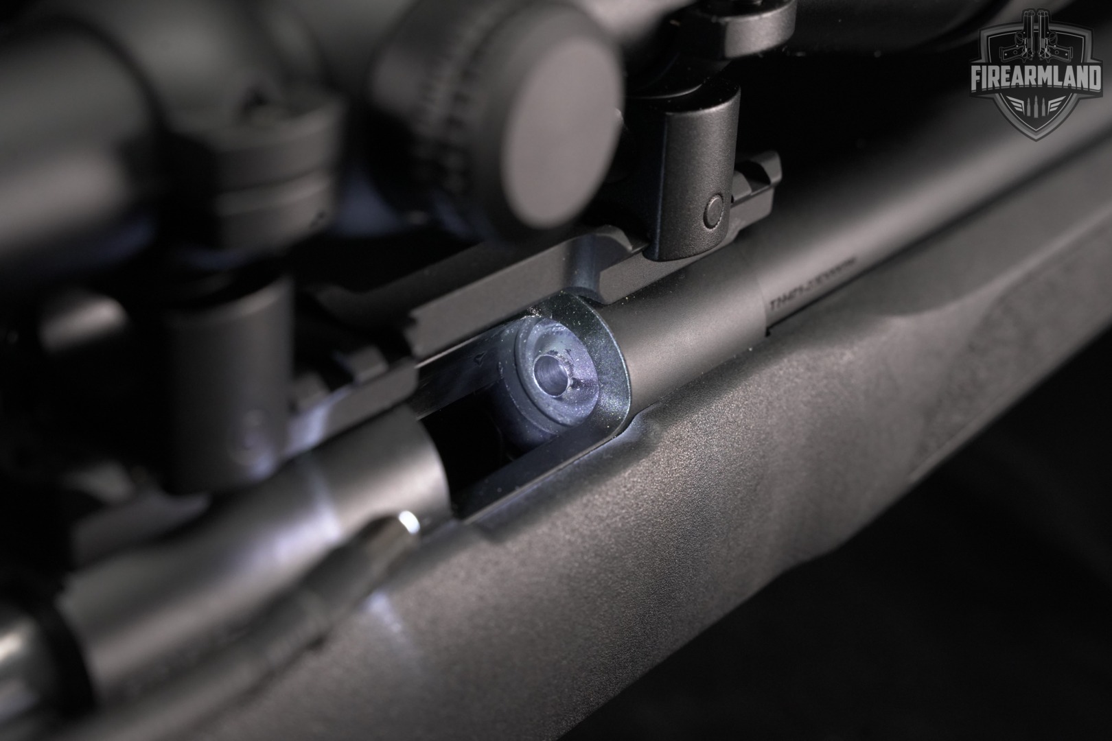 Springfield Armory Model 2020 Rimfire Target 22LR +2 MAGS, VORTEX SCOPE-img-15