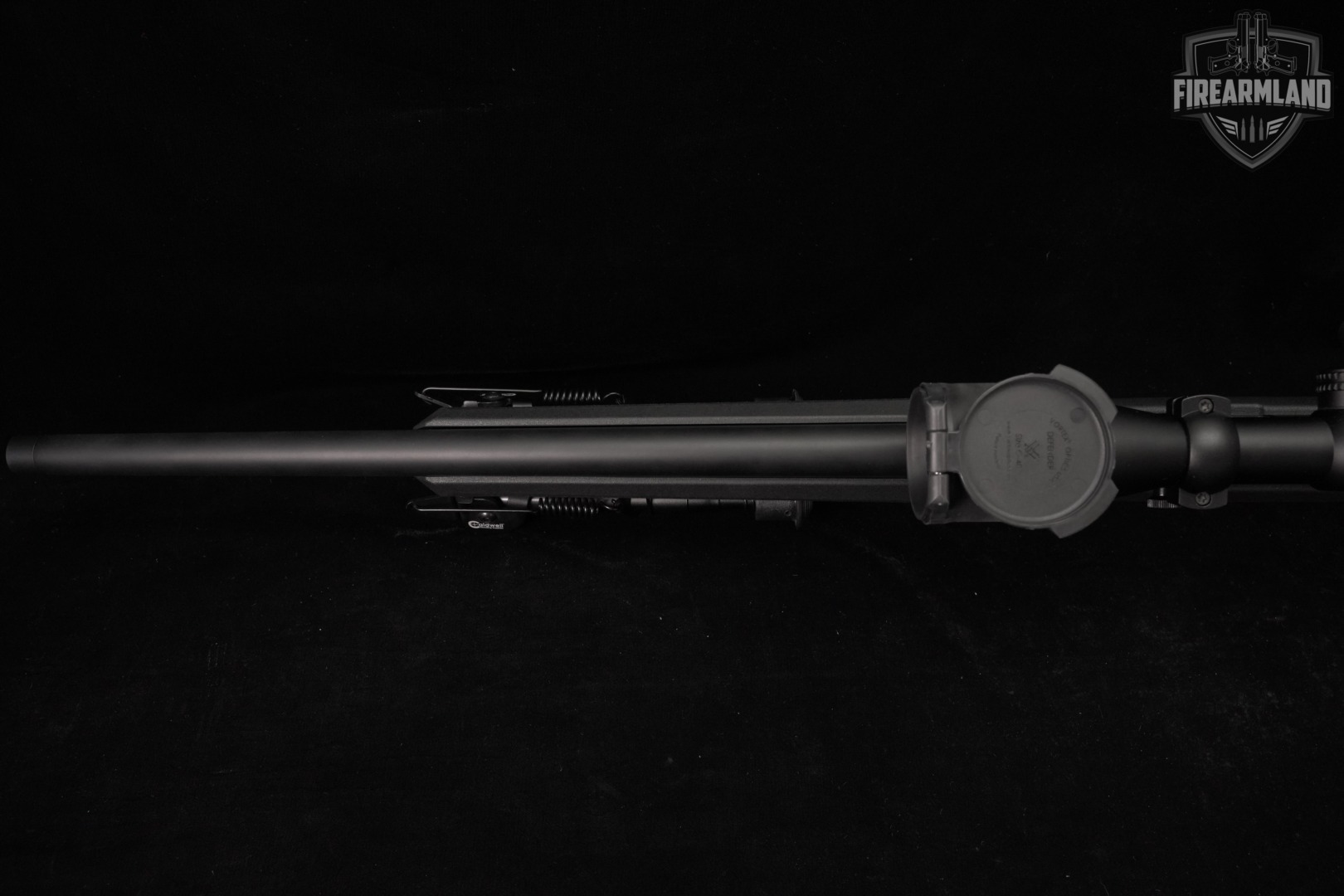 Springfield Armory Model 2020 Rimfire Target 22LR +2 MAGS, VORTEX SCOPE-img-9