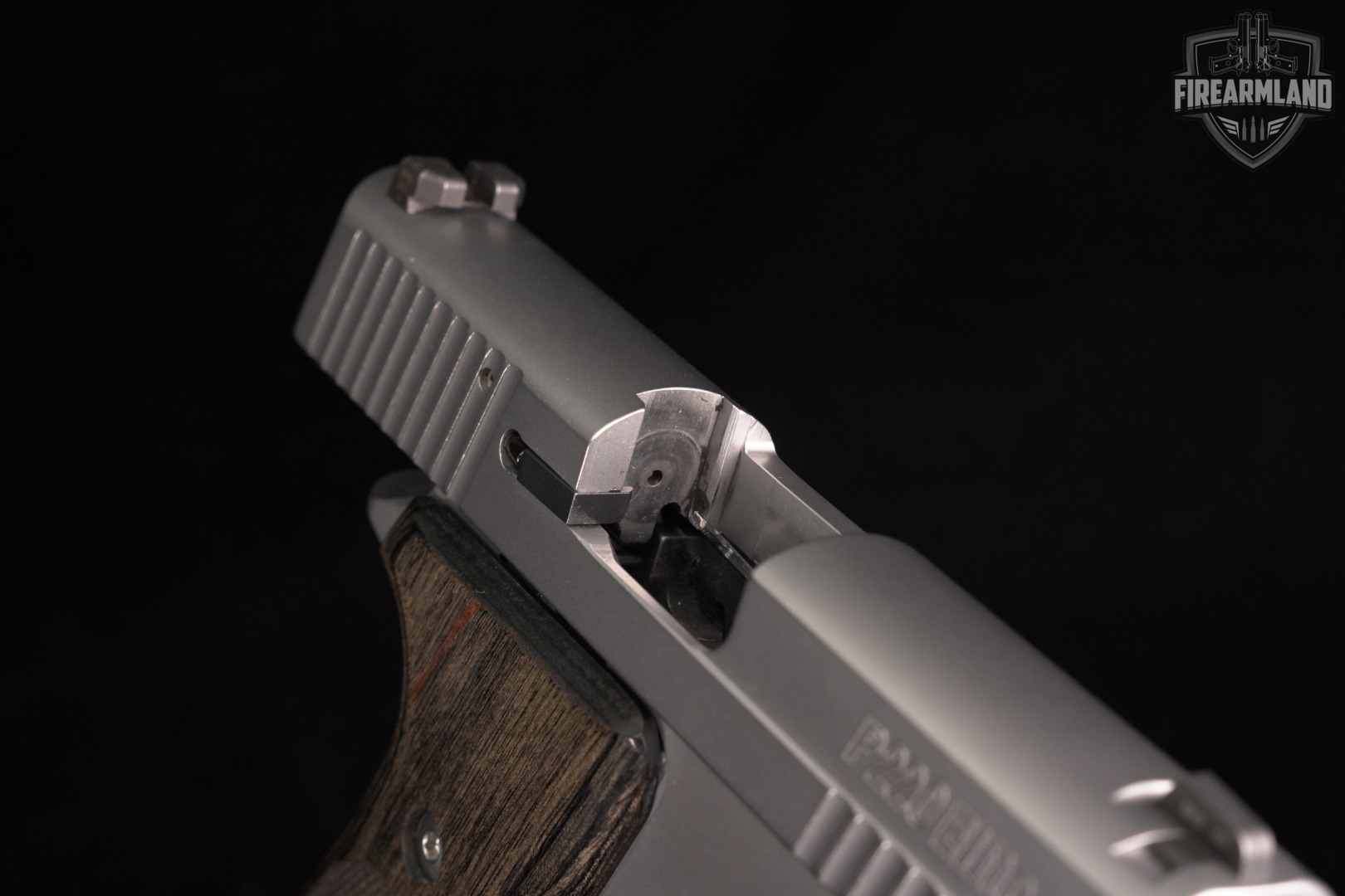 Sig Sauer P220 Carry Elite Stainless 45 ACP 3.9" P 220 +2 MAGS & ORIG CASE-img-12