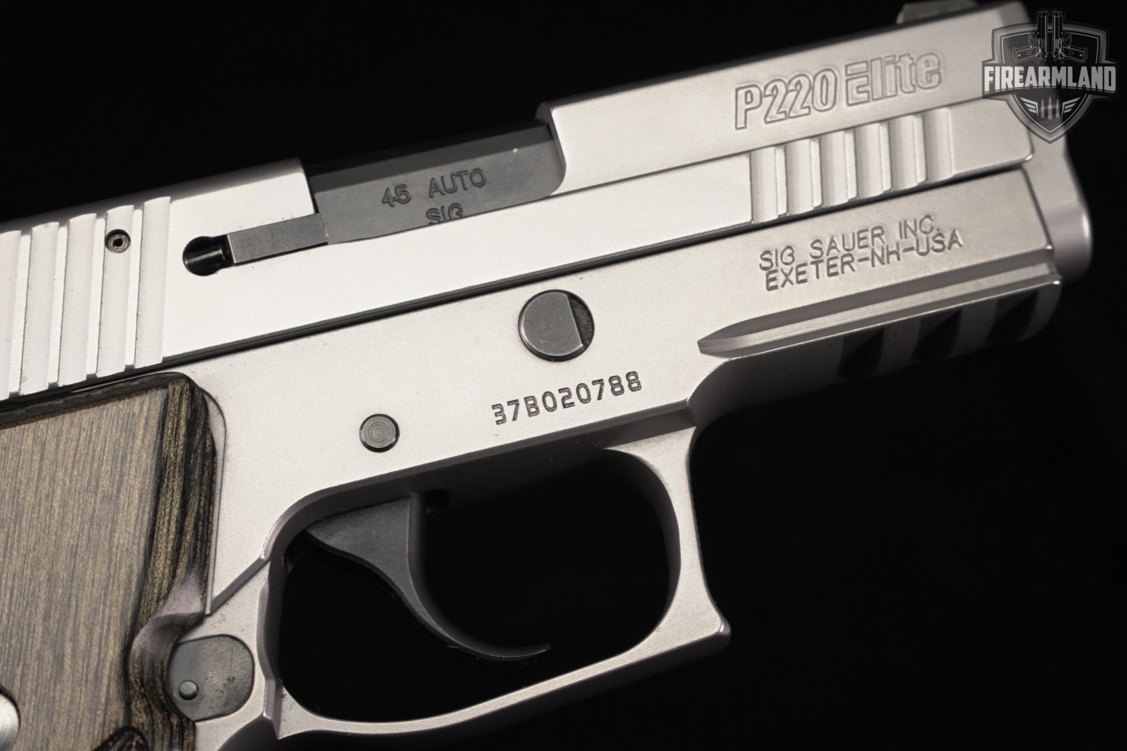 Sig Sauer P220 Carry Elite Stainless 45 ACP 3.9" P 220 +2 MAGS & ORIG CASE-img-13
