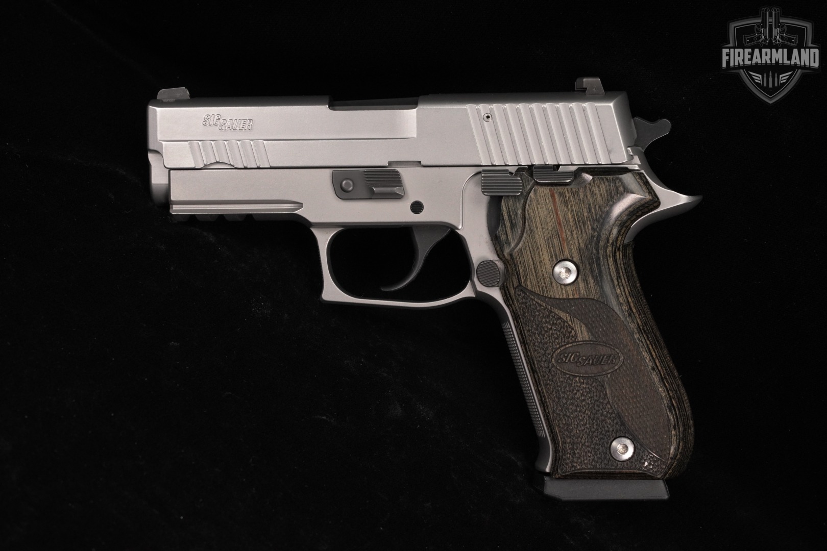 Sig Sauer P220 Carry Elite Stainless 45 ACP 3.9" P 220 +2 MAGS & ORIG CASE-img-3