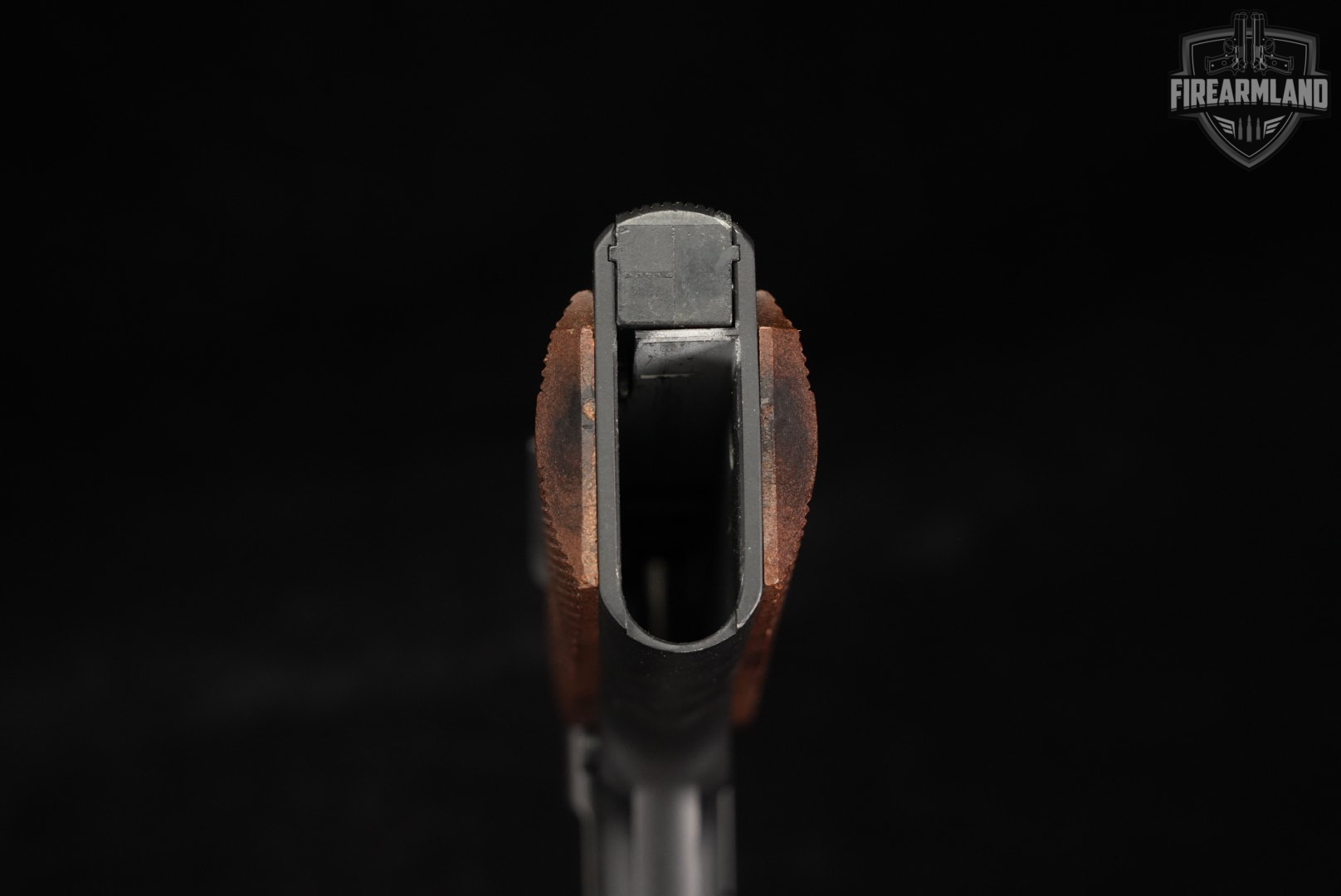 German Sport Guns GSG 1911 CA 22LR 5" GSG1911-img-7