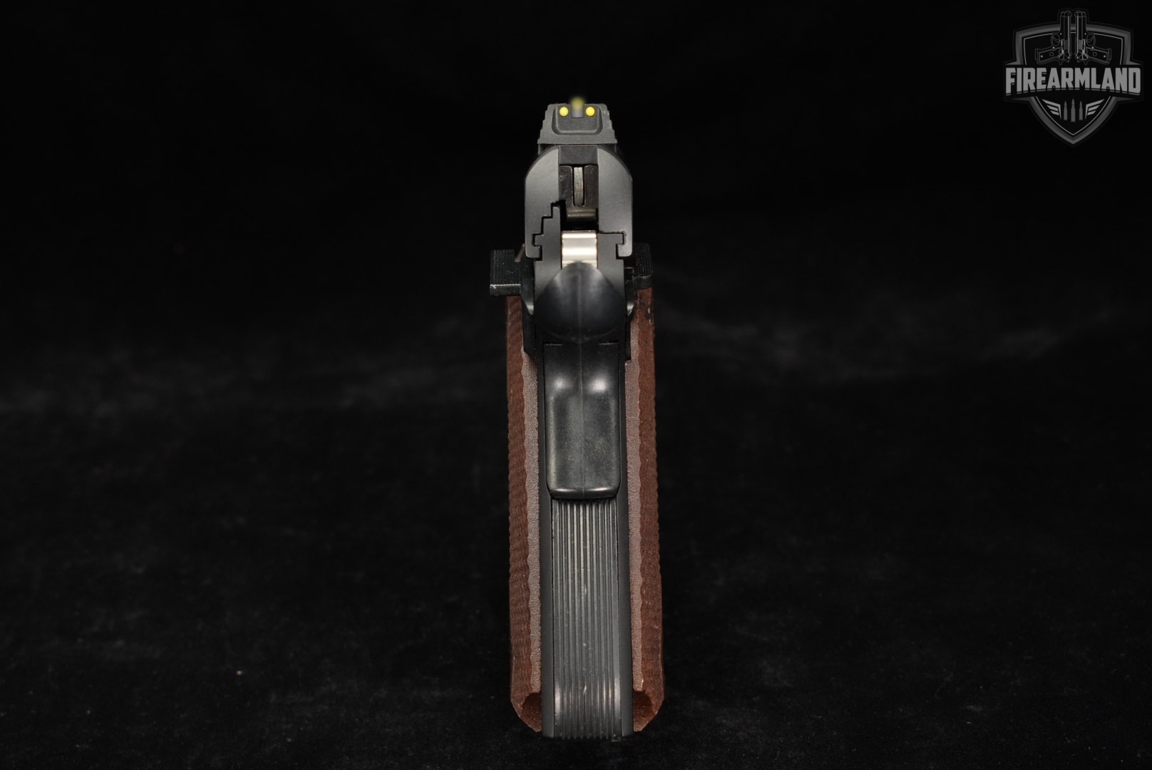 German Sport Guns GSG 1911 CA 22LR 5" GSG1911-img-8