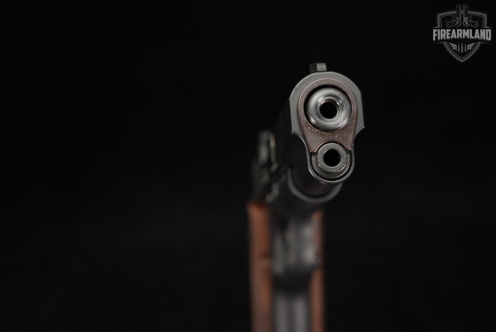 German Sport Guns GSG 1911 CA 22LR 5" GSG1911-img-9