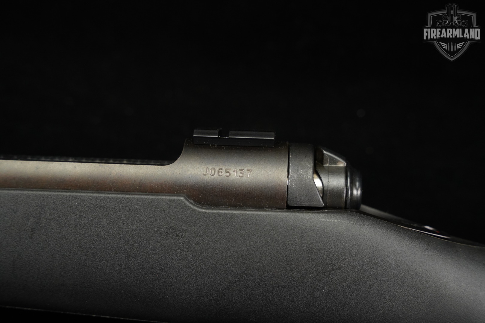 Savage Arms Model 111 AccuTrigger 270 Win 22" Blued & Synthetic M111-img-20