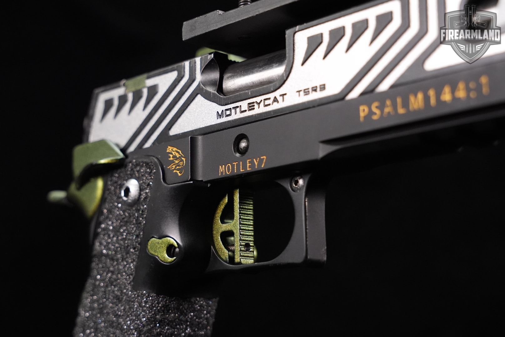 OPEN GUN Limcat Motleycat TSRB 38 Super Black & Silver 1911 2011 COMP-img-11
