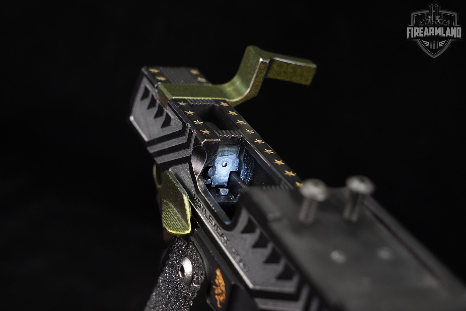 OPEN GUN Limcat Motleycat TSRB 38 Super Black & Silver 1911 2011 COMP-img-18