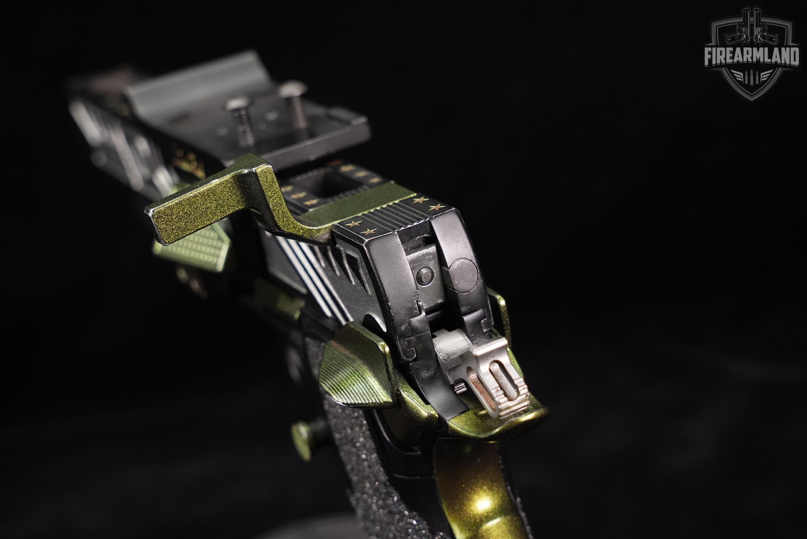OPEN GUN Limcat Motleycat TSRB 38 Super Black & Silver 1911 2011 COMP-img-6