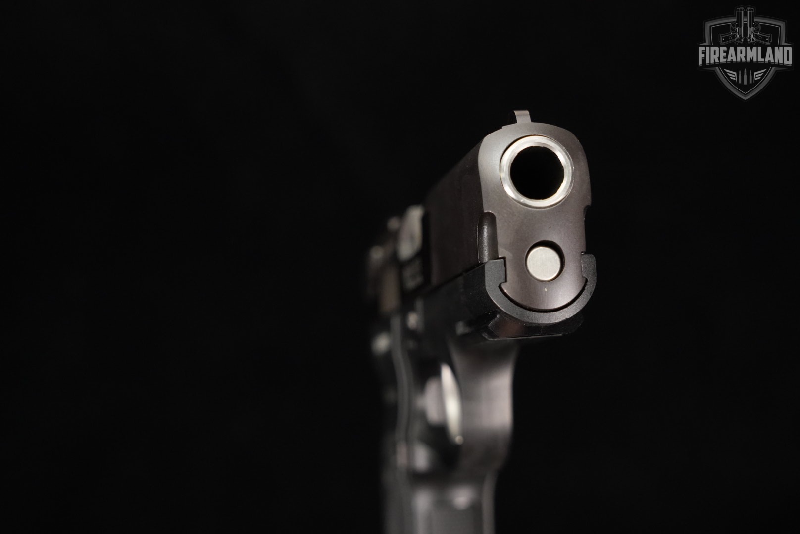 Ruger P345 45 ACP 4.2" P-345 DA/SA-img-9