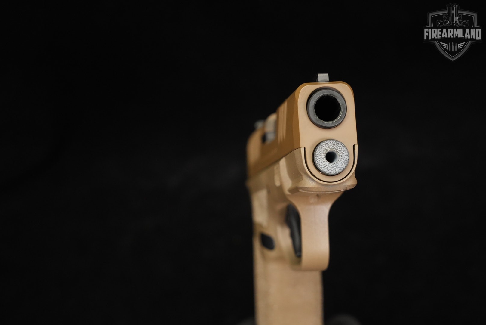 Springfield Armory Hellcat 9mm 3.1" FDE +2 MAGS, CASE-img-9
