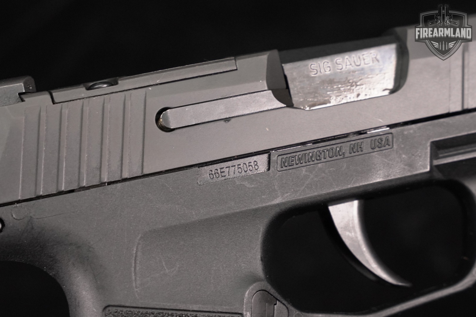 Sig Sauer P365 9mm Optics-Ready 3.1" P-365 +2 MAGS, ORIG CASE & HOLSTER-img-12