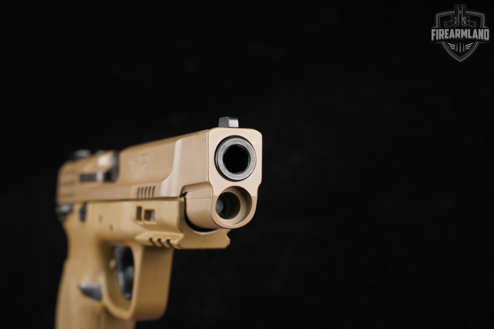 Swm2 FirearmLand