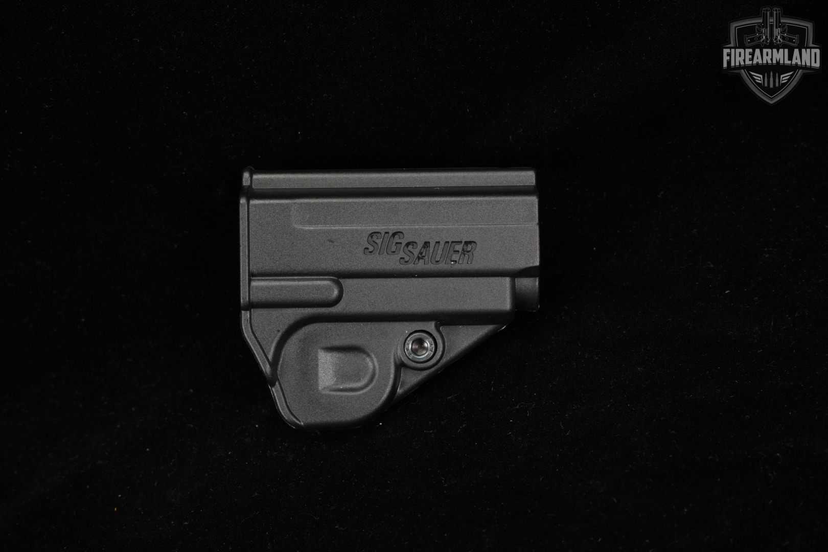 Sig Sauer P238 Two-Tone 380 ACP 2.75 Stainless P 238 +ORIG CASE, HOLSTER-img-14