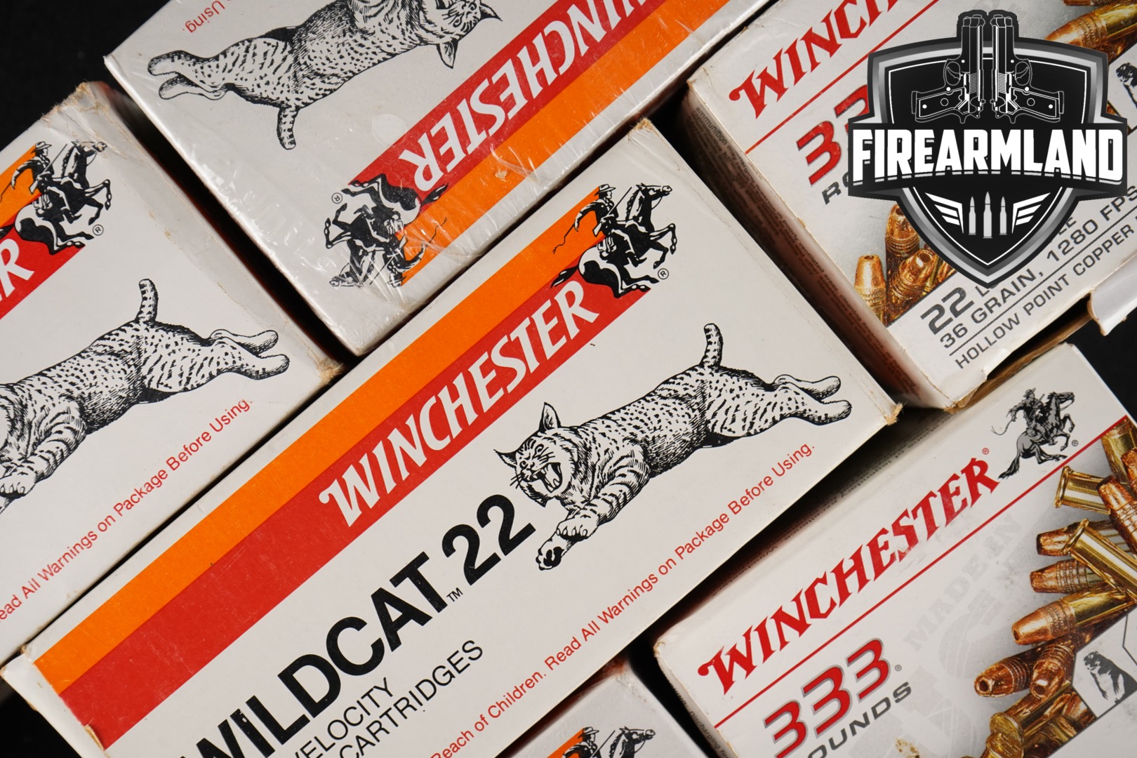 Winchester Repeating Arms .22 LR .22 LR in New - Old Stock Condition Thumbnail