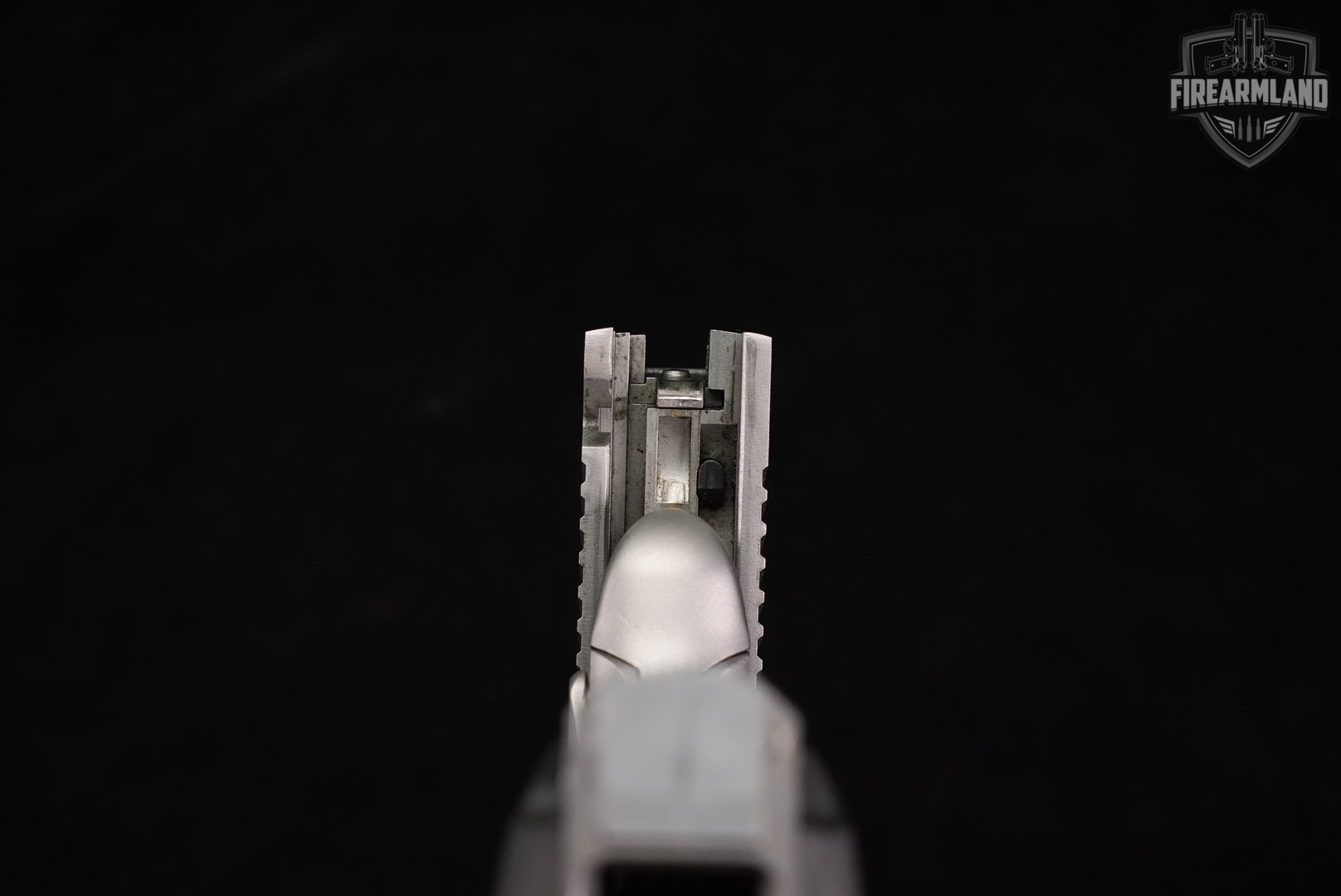 Kimber Stainless II 45 ACP 1911 5" +3 MAGS-img-15