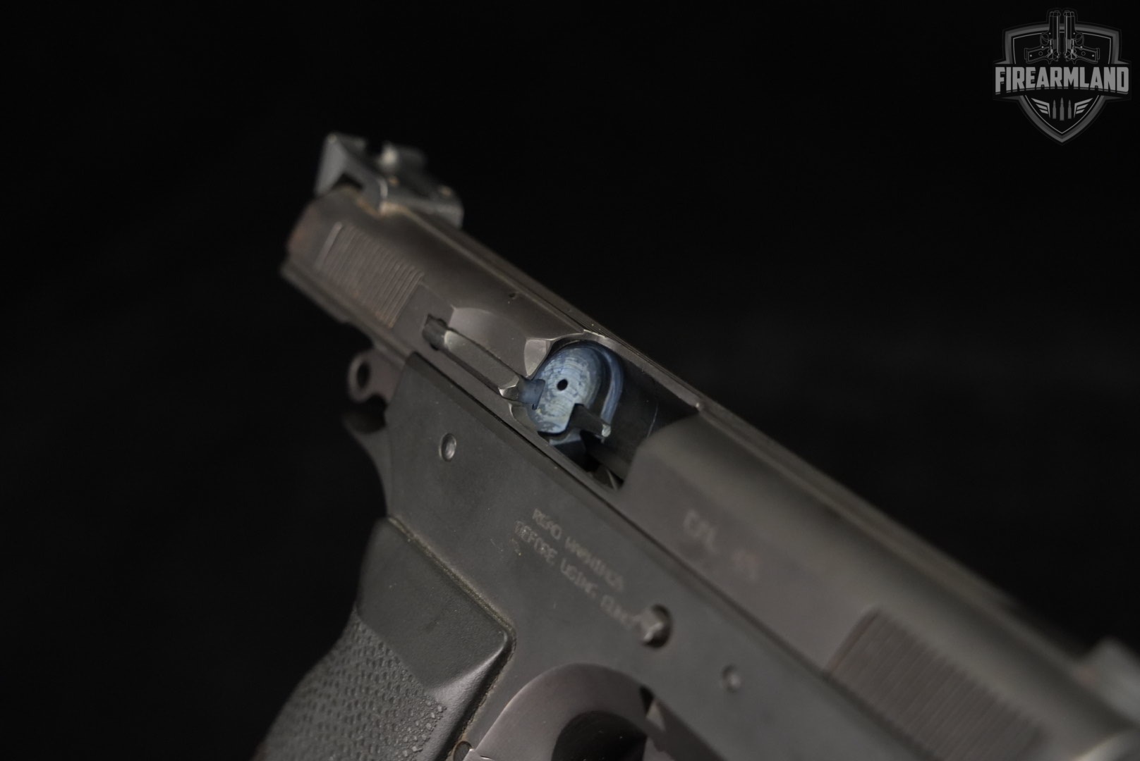 Tanfoglio Witness Steel FS 45 ACP 4.25" DA/SA ITALY-img-11