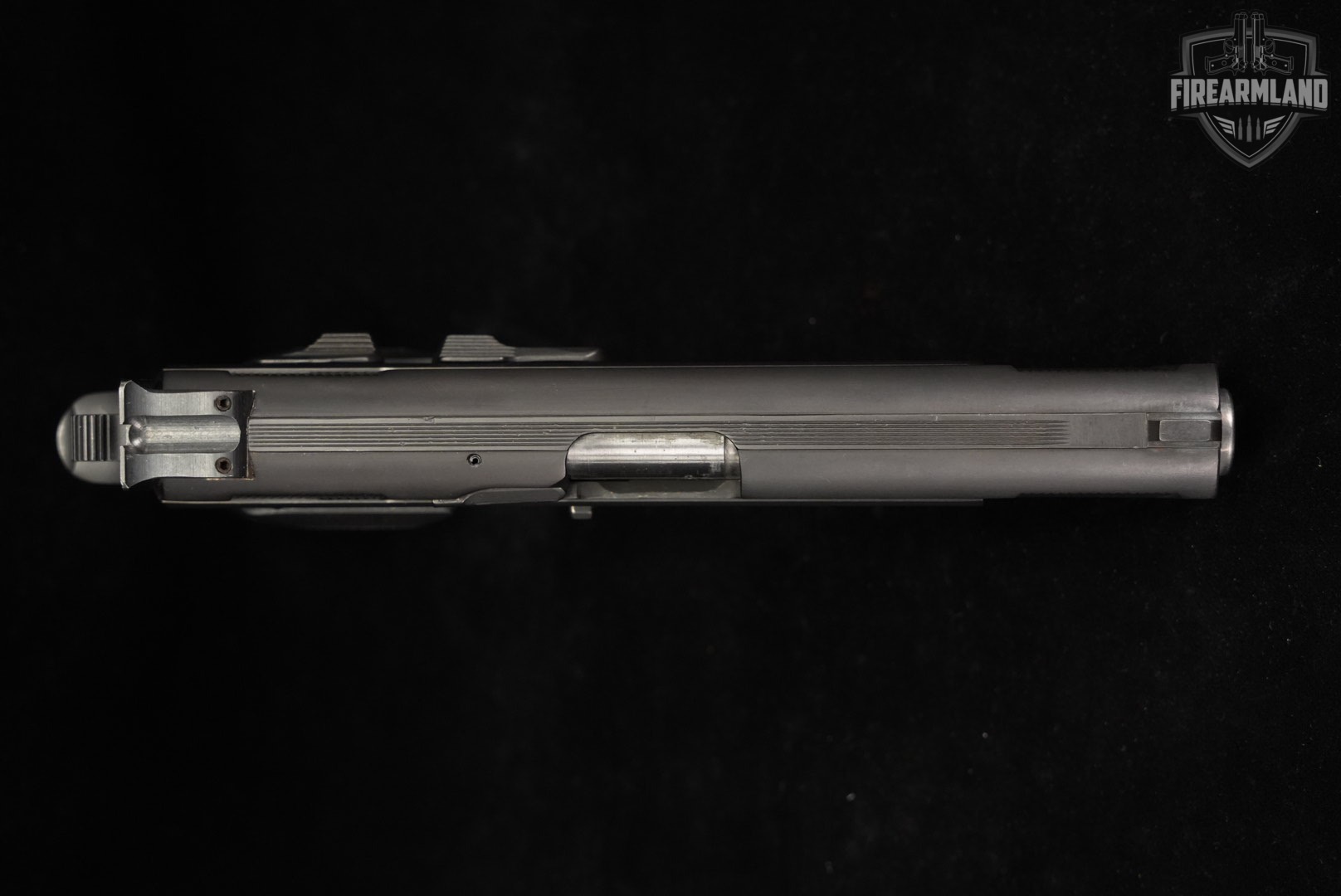 Tanfoglio Witness Steel FS 45 ACP 4.25" DA/SA ITALY-img-5