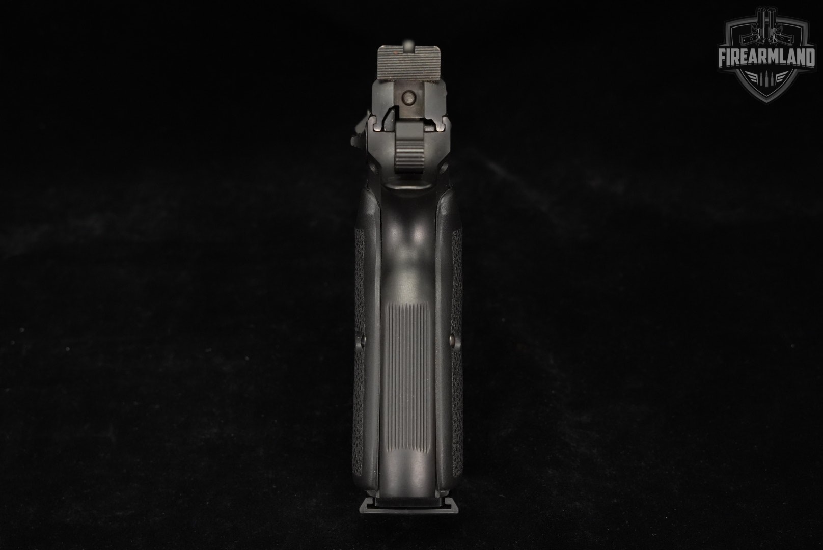 Tanfoglio Witness Steel FS 45 ACP 4.25" DA/SA ITALY-img-8