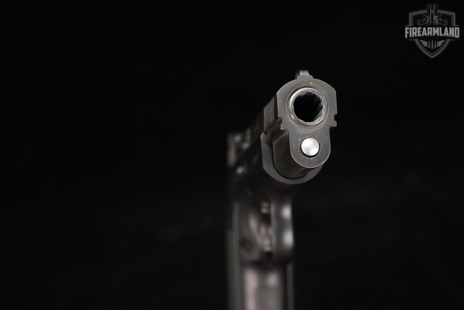 Tanfoglio Witness Steel FS 45 ACP 4.25" DA/SA ITALY-img-9