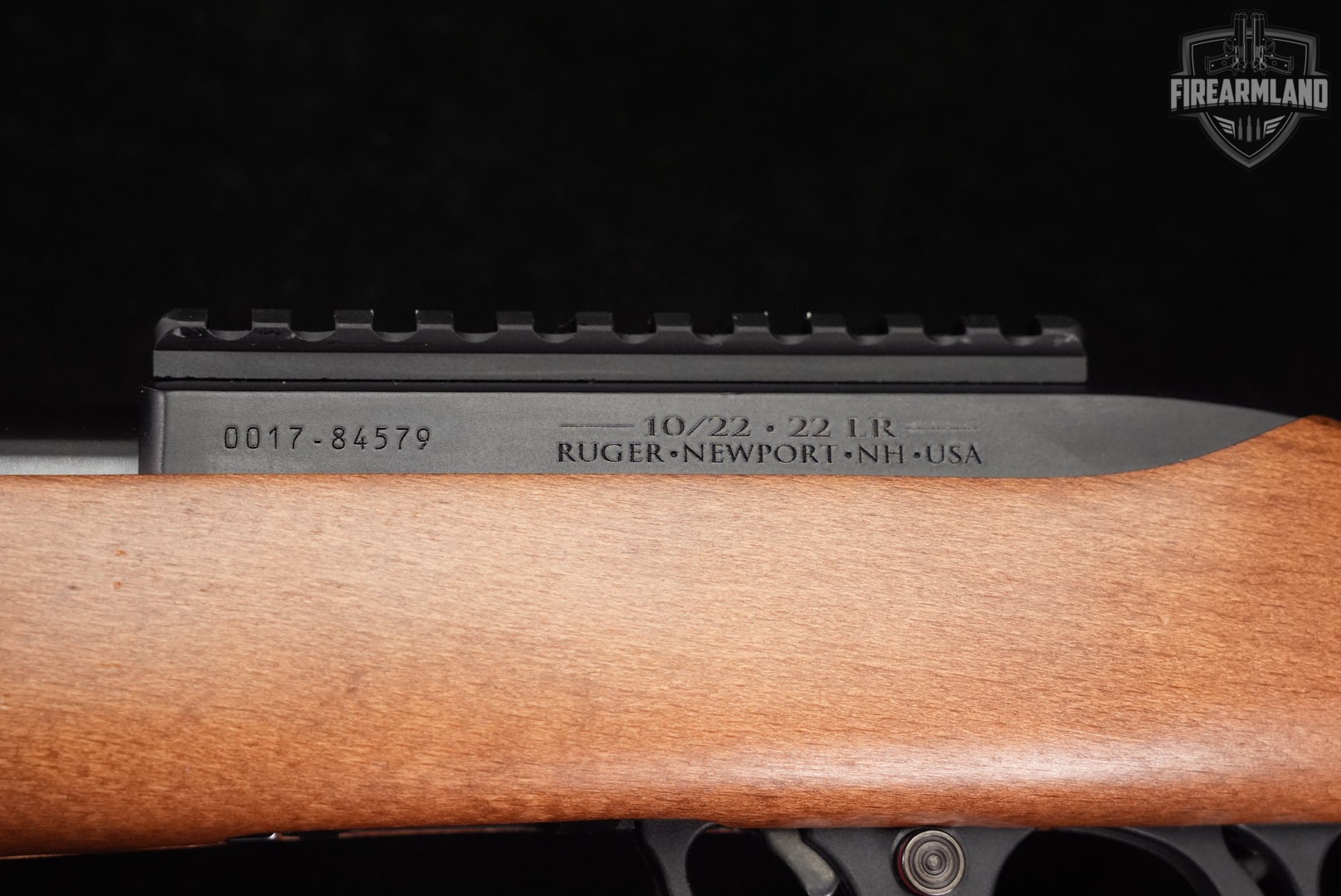 Ruger 10/22 Carbine 22LR 19.5" Blued 1022 10 22 +2 MAGS & ORIG CASE-img-19