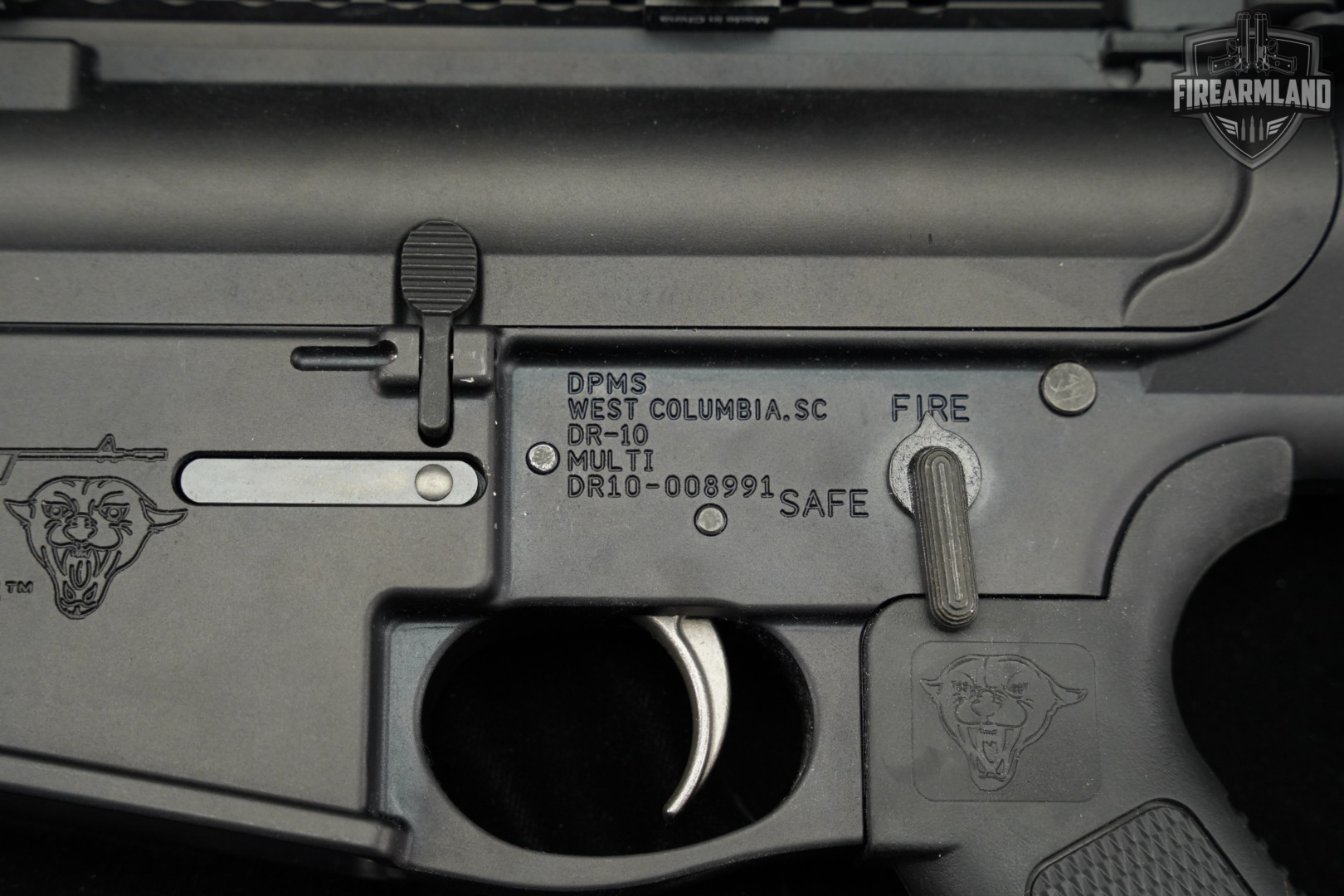 DPMS Panther Arms DR-10 308 Winchester AR10 AR DR10 +2 MAGS-img-18