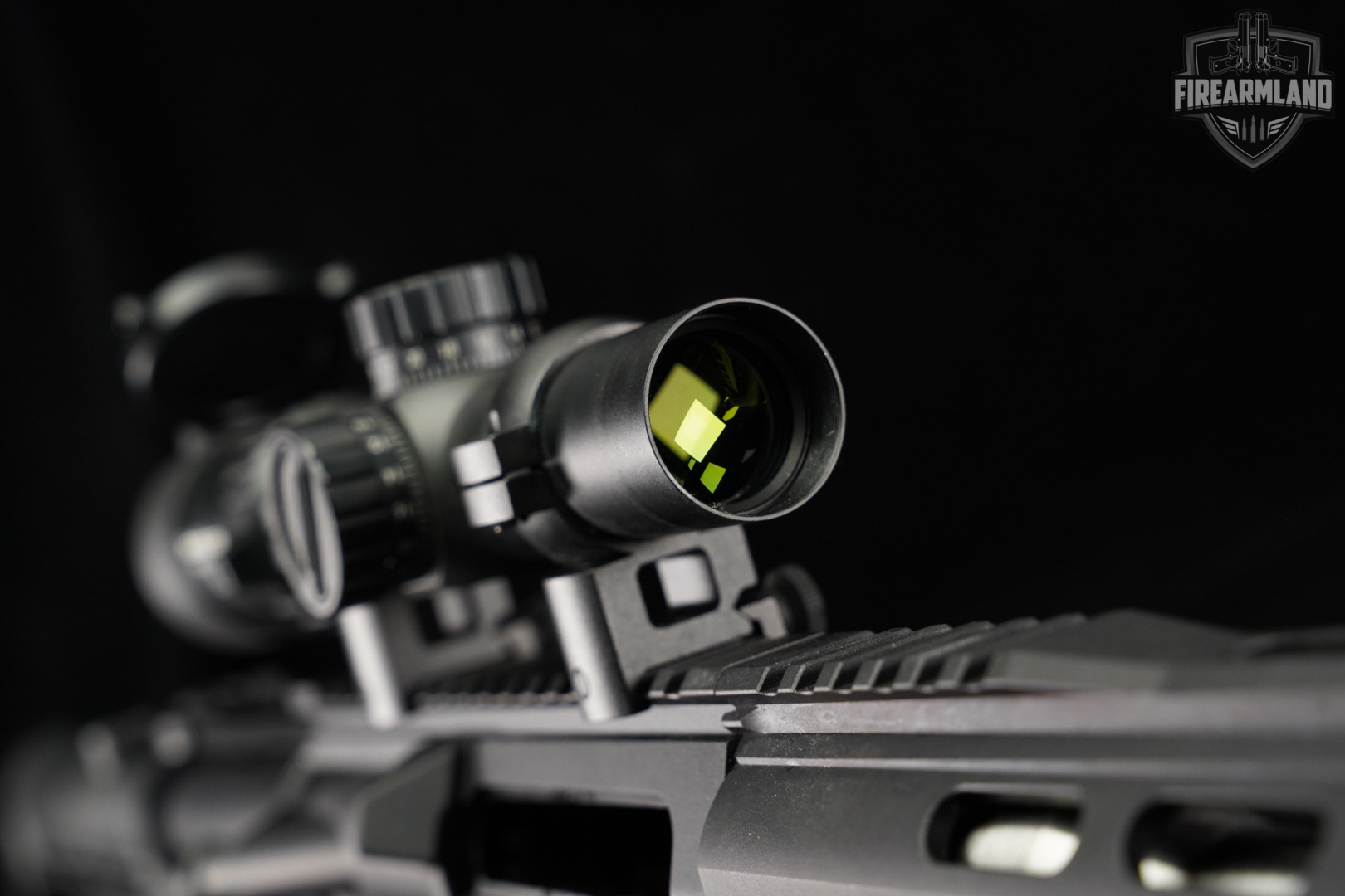 DPMS Panther Arms DR-10 308 Winchester AR10 AR DR10 +2 MAGS-img-21