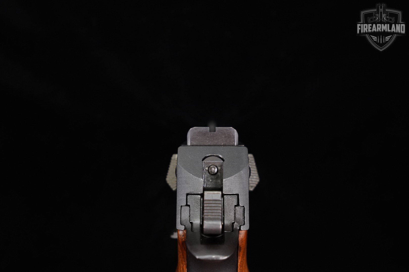 【地蔵】aimed forces manufacturer Used Israeli Military Industries (IMI) Desert Eagle Auction