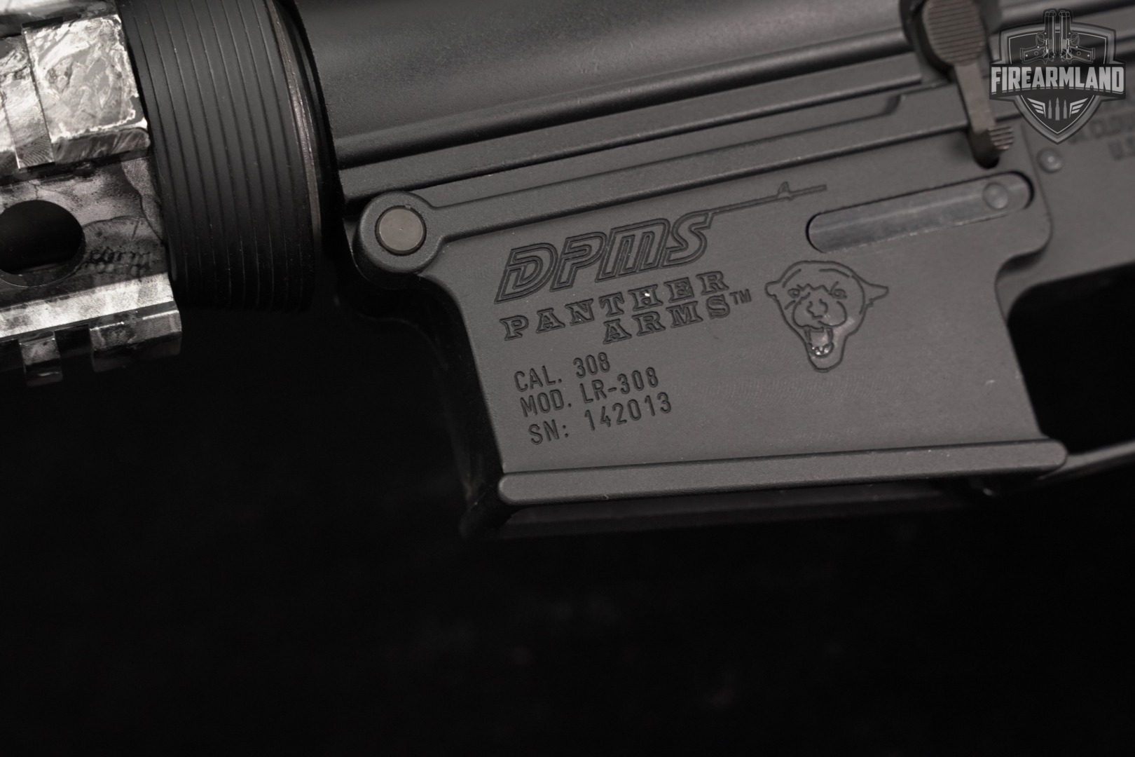 DPMS Panther Arms LR-308 Winchester AR-10 AR10 LR308 +2 MAGS, NIKON SCOPE-img-20