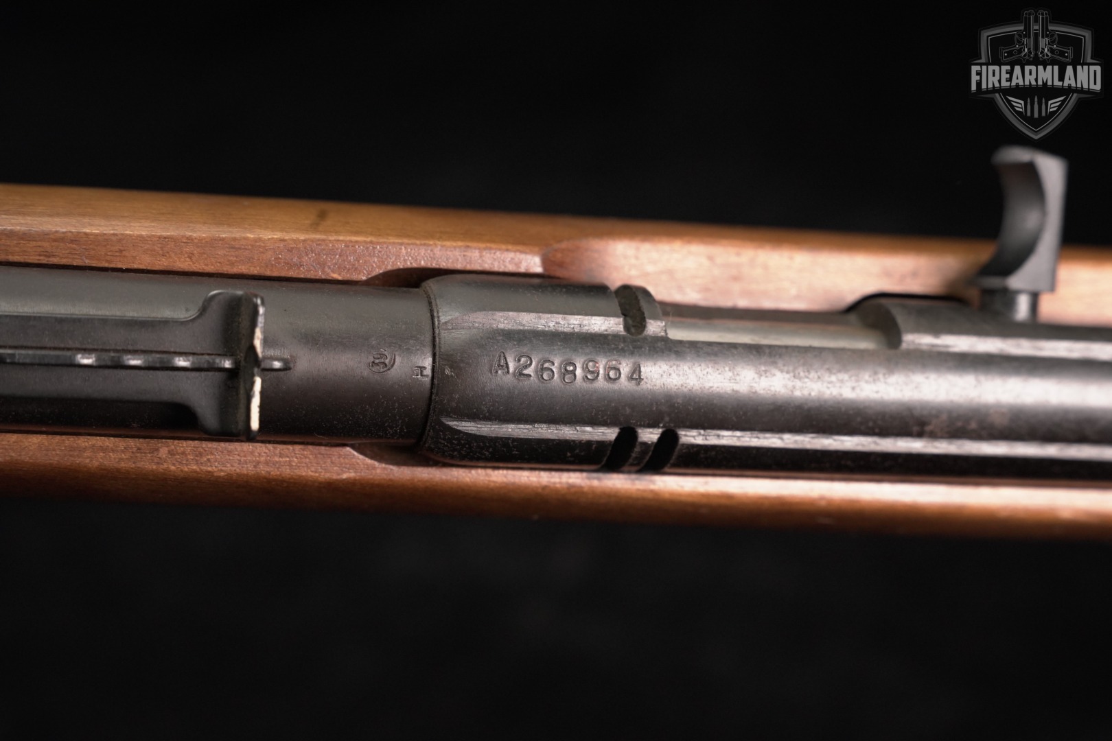Savage Arms Model 187S 22LR 20 Hardwood M187 187-S-img-17