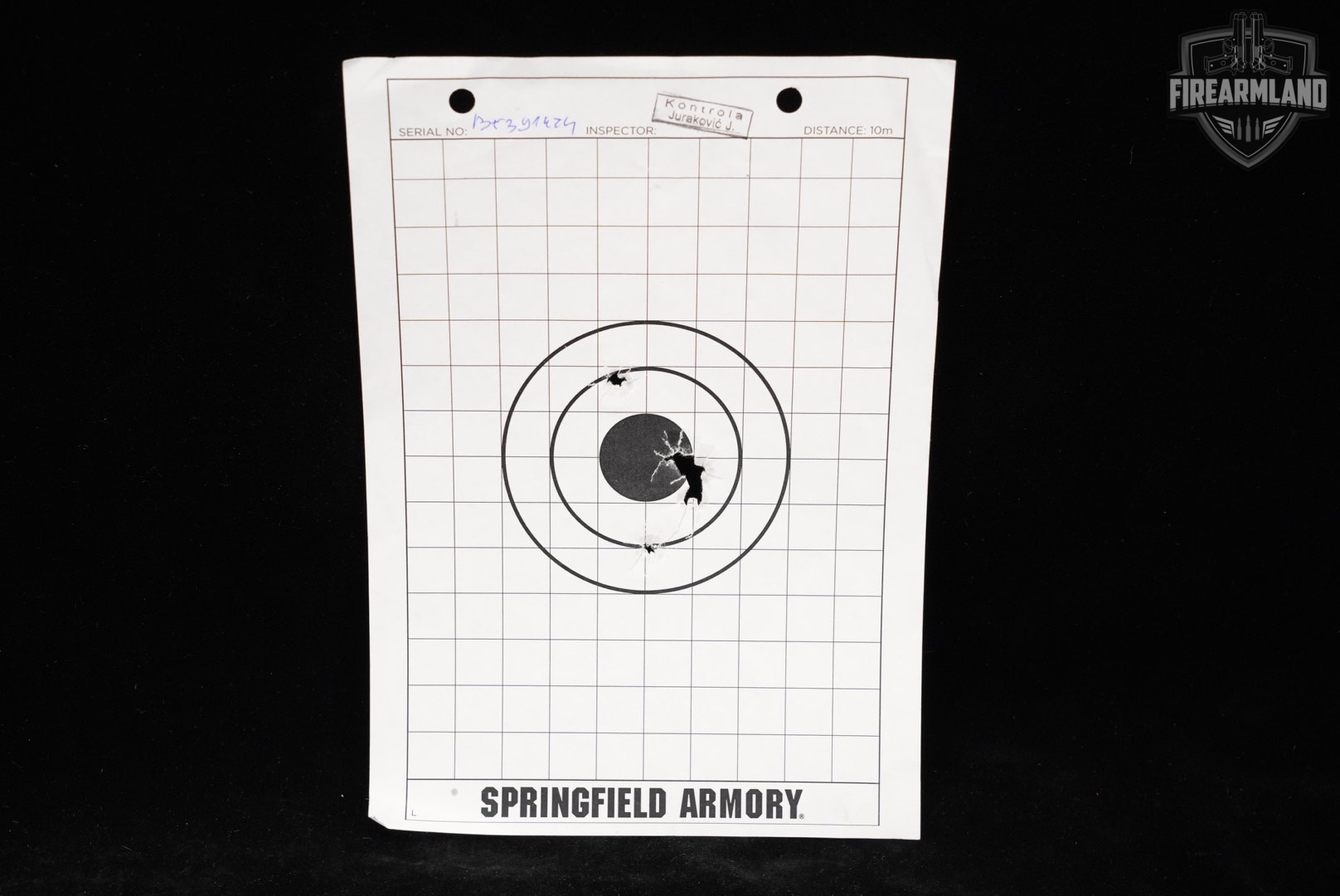 Springfield Armory Echelon 9mm Optics-Ready 4.5 +2 MAGS & ORIG BOX-img-14