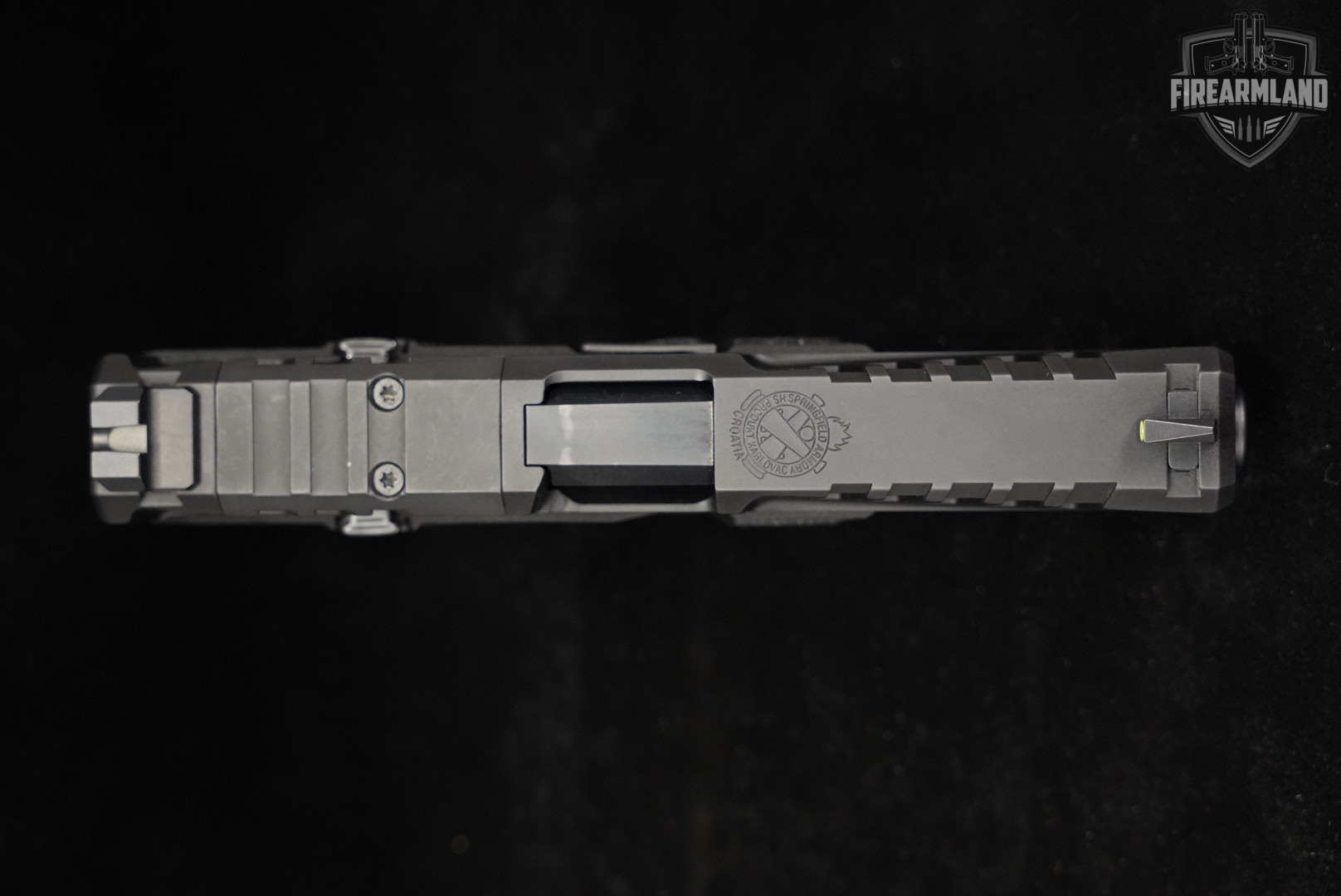 Springfield Armory Echelon 9mm Optics-Ready 4.5 +2 MAGS & ORIG BOX-img-5