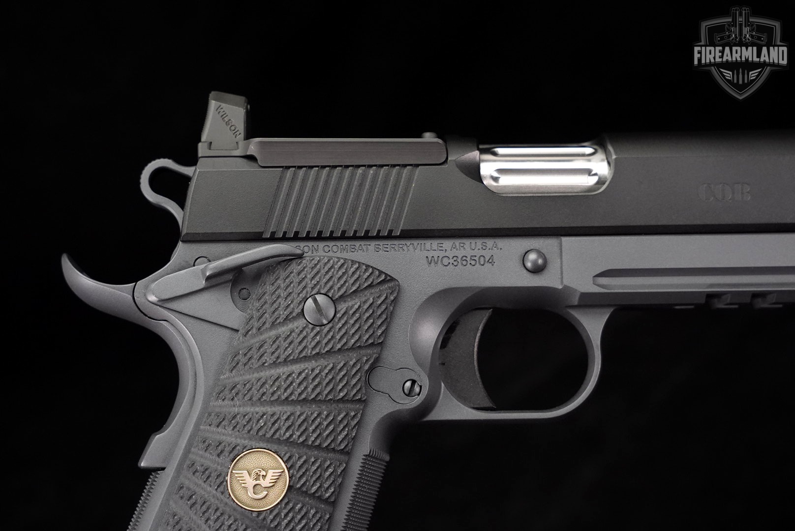 Wilson Combat WC CQB Tactical LE 45 ACP OR 1911 +2 MAGS, ORIG CASE, HOLSTER-img-12