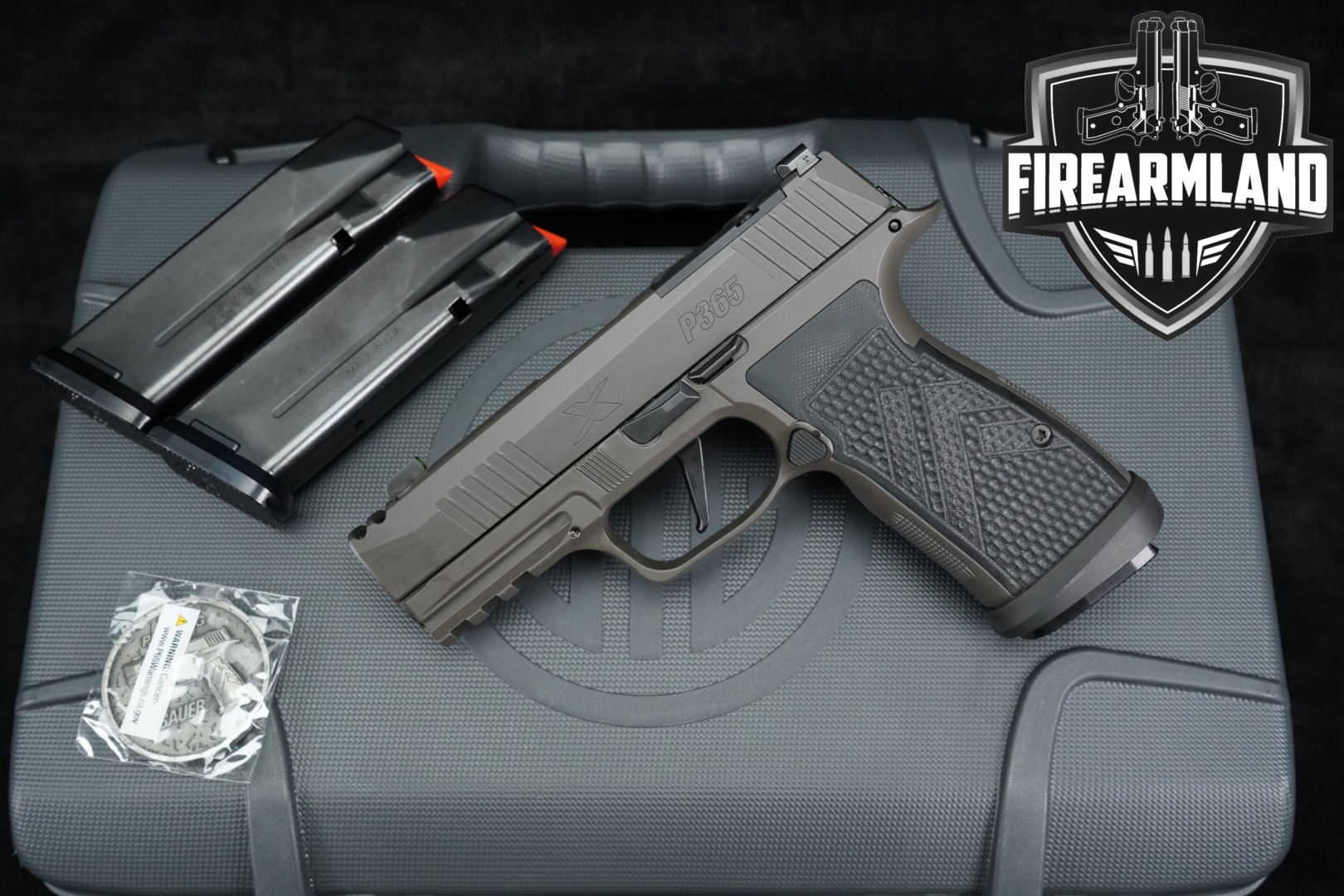Sig Sauer P365 AXG Legion 9mm Luger Legion Gray in Excellent Condition Thumbnail