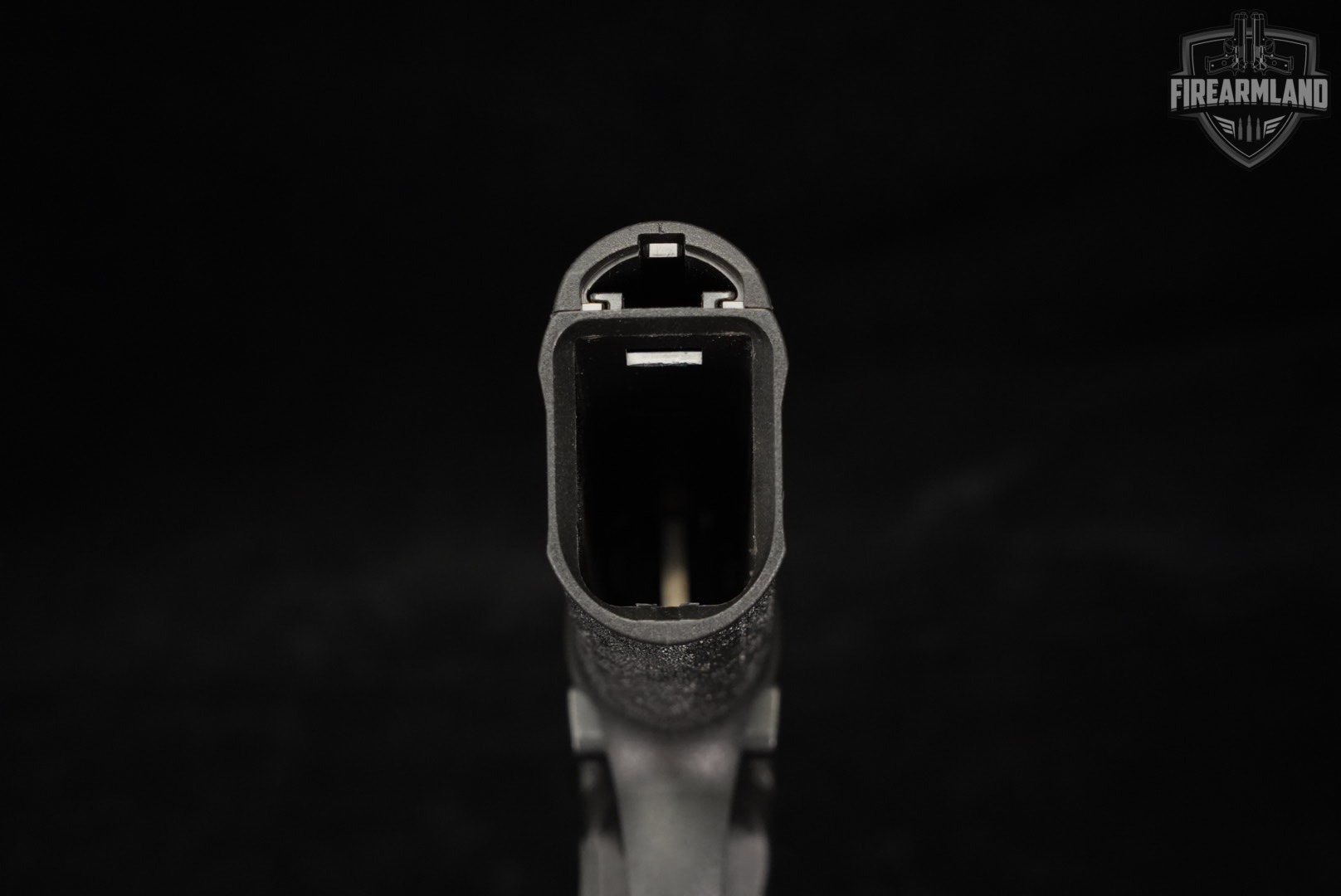 Springfield Armory Echelon 4.0C COMP 9mm 4" +ORIG BOX-img-7