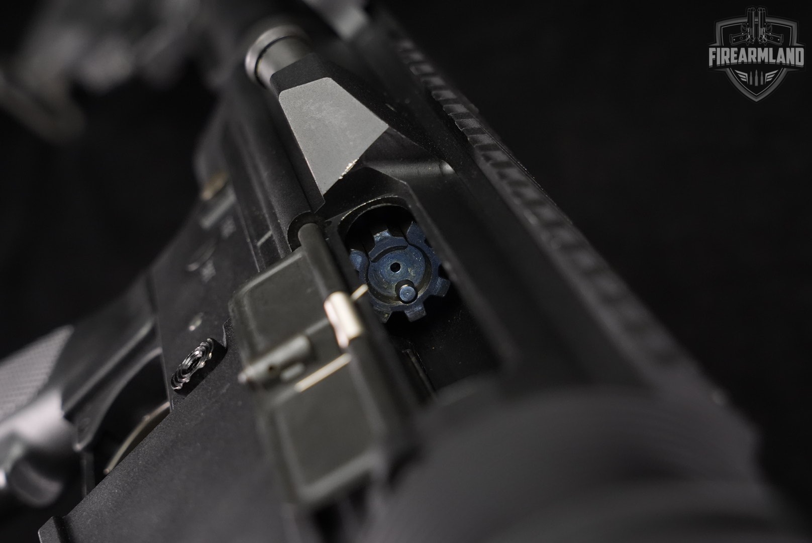Bushmaster LR-308 308Winchester 16" LR308 AR10 AR-10 +2 MAGS-img-21